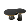 Modern Glass Coffee Table /Side Table Set