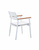 Metal Frame Outdoor Dining Chairs