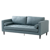 Blue Modern Leather 2 Seat Sofa with Pillows for Living Room