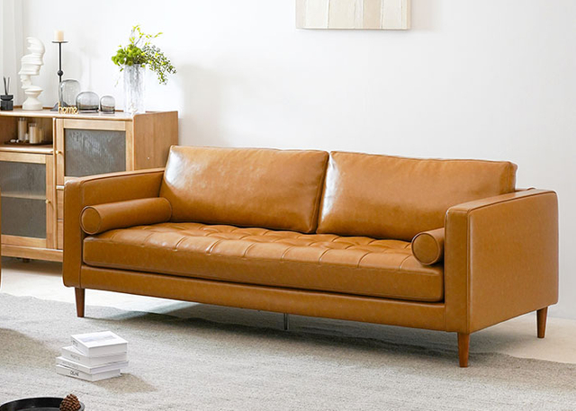 Leather couch